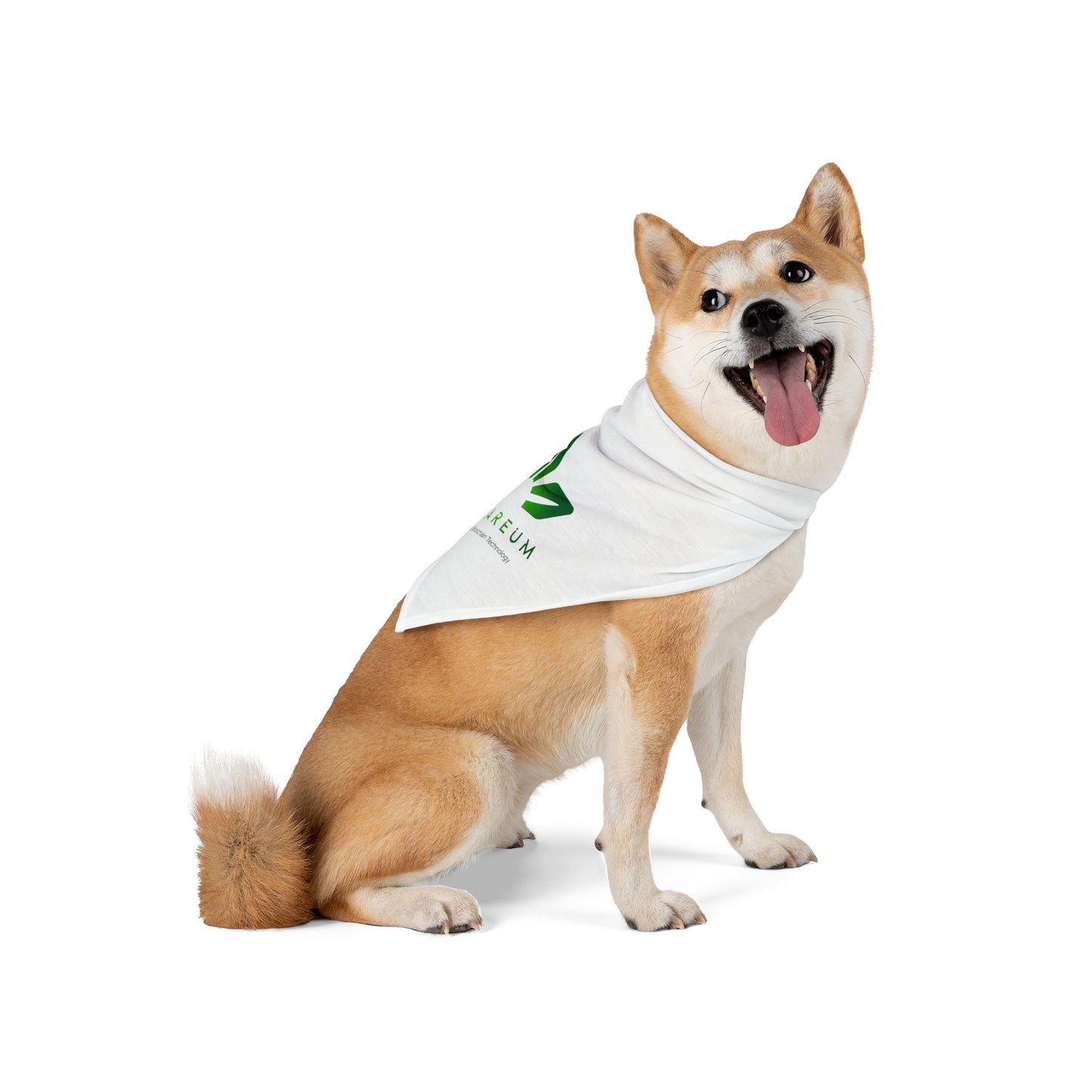 Logo Pet Bandana