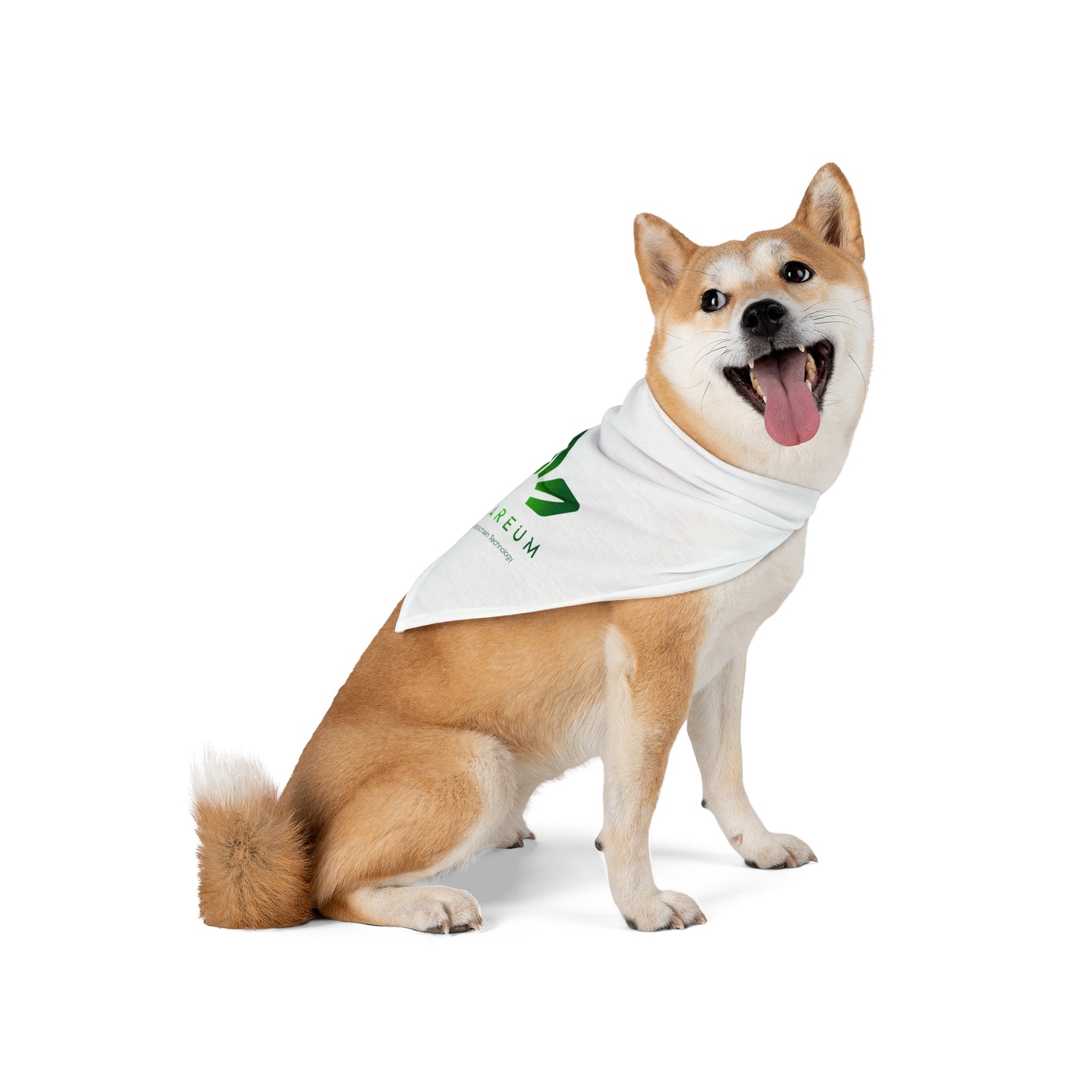 Logo Pet Bandana